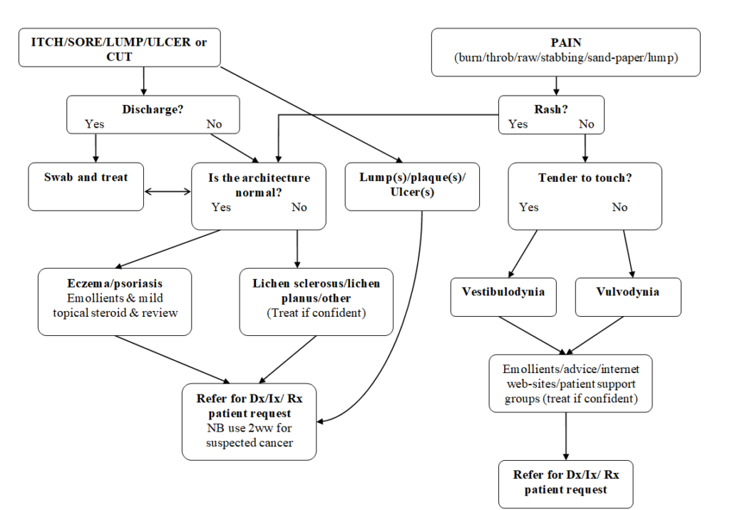 Dr Karen Gibbon's algorithm for diagnosing and treating vulval symptoms